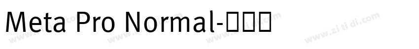 Meta Pro Normal字体转换